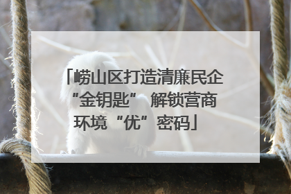 崂山区打造清廉民企“金钥匙” 解锁营商环境“优”密码