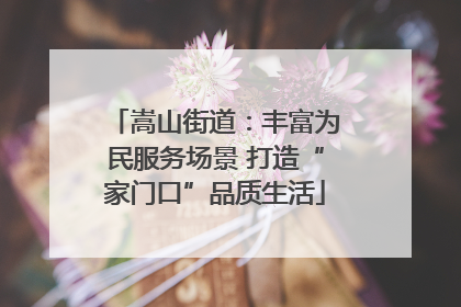 嵩山街道：丰富为民服务场景 打造“家门口”品质生活
