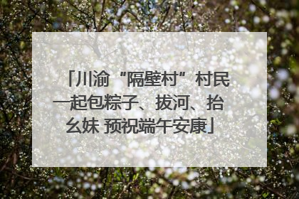 川渝“隔壁村”村民一起包粽子、拔河、抬幺妹 预祝端午安康