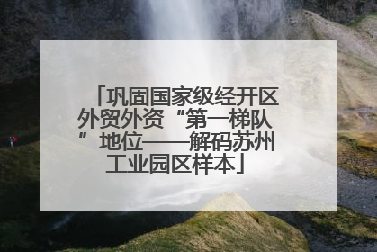 巩固国家级经开区外贸外资“第一梯队”地位——解码苏州工业园区样本