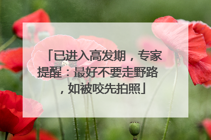 已进入高发期，专家提醒：最好不要走野路，如被咬先拍照
