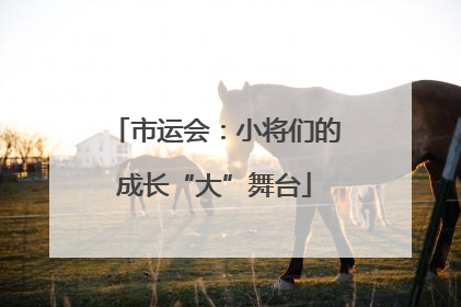 市运会：小将们的成长“大”舞台