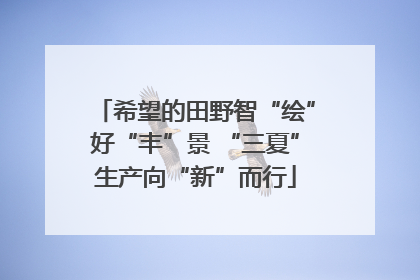 希望的田野智“绘”好“丰”景 “三夏”生产向“新”而行