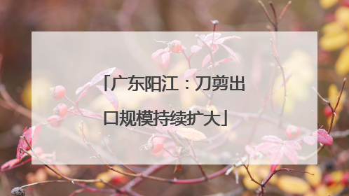 广东阳江：刀剪出口规模持续扩大