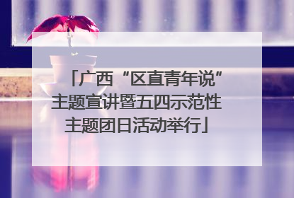 广西“区直青年说”主题宣讲暨五四示范性主题团日活动举行