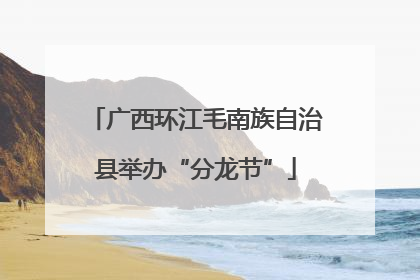 广西环江毛南族自治县举办“分龙节”