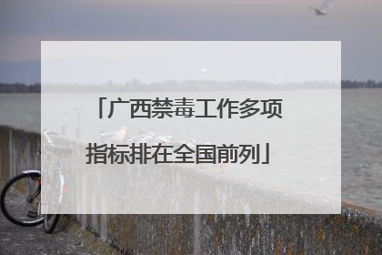 广西禁毒工作多项指标排在全国前列