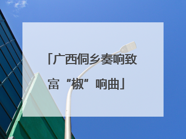 广西侗乡奏响致富“椒”响曲