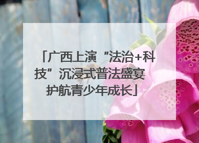 广西上演“法治+科技”沉浸式普法盛宴 护航青少年成长