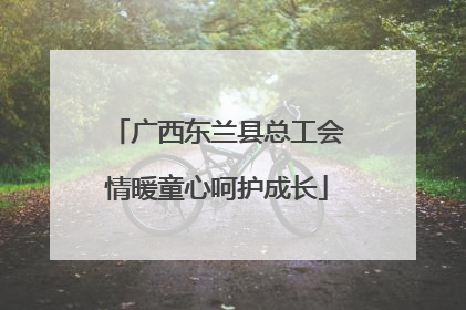 广西东兰县总工会情暖童心呵护成长