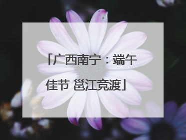 广西南宁：端午佳节 邕江竞渡
