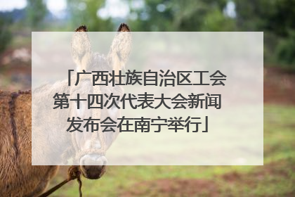 广西壮族自治区工会第十四次代表大会新闻发布会在南宁举行