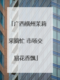 广西横州茉莉采摘忙 市场交易花香飘