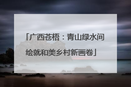 广西苍梧：青山绿水间绘就和美乡村新画卷