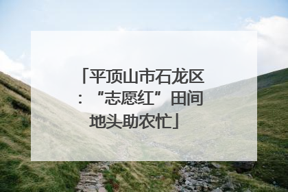 平顶山市石龙区：“志愿红”田间地头助农忙