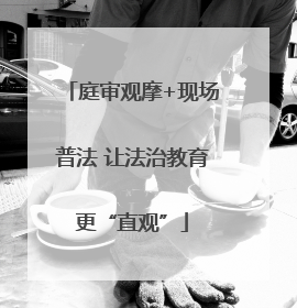 庭审观摩+现场普法 让法治教育更“直观”