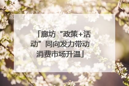 廊坊“政策+活动”同向发力带动消费市场升温