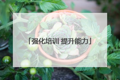 强化培训 提升能力