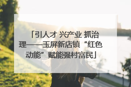 引人才 兴产业 抓治理——玉屏新店镇“红色动能”赋能强村富民