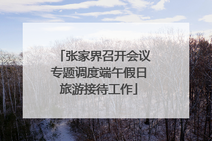 张家界召开会议专题调度端午假日旅游接待工作
