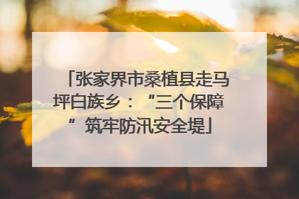 张家界市桑植县走马坪白族乡：“三个保障”筑牢防汛安全堤