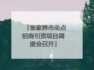 张家界市重点招商引资项目调度会召开