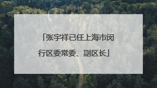 张宇祥已任上海市闵行区委常委、副区长