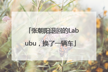 张朝阳退回的Labubu，换了一辆车