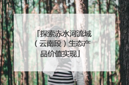 探索赤水河流域（云南段）生态产品价值实现