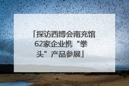 探访西博会南充馆 62家企业携“拳头”产品参展