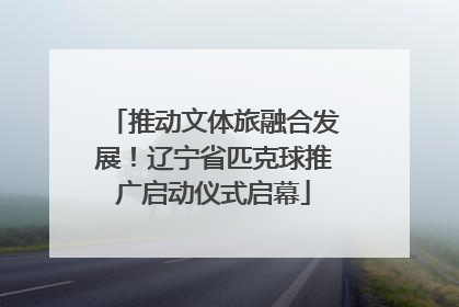 推动文体旅融合发展！辽宁省匹克球推广启动仪式启幕