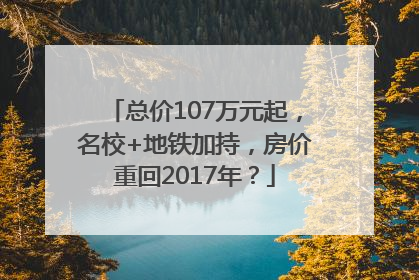 总价107万元起，名校+地铁加持，房价重回2017年？