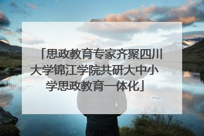 思政教育专家齐聚四川大学锦江学院共研大中小学思政教育一体化