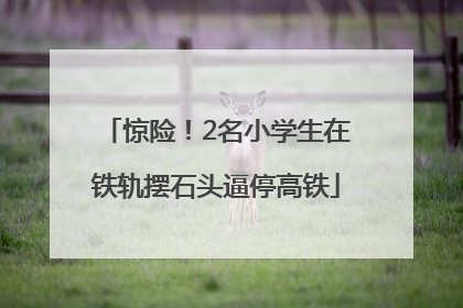 惊险！2名小学生在铁轨摆石头逼停高铁