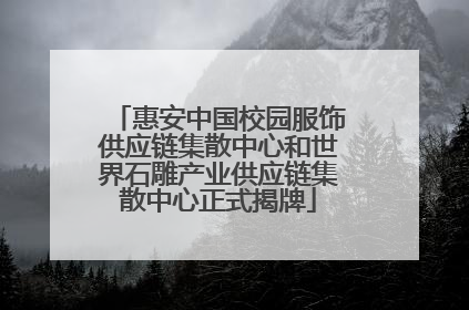惠安中国校园服饰供应链集散中心和世界石雕产业供应链集散中心正式揭牌