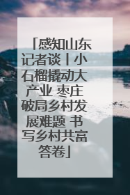 感知山东记者谈丨小石榴撬动大产业 枣庄破局乡村发展难题 书写乡村共富答卷