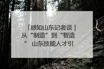 感知山东记者谈｜从“制造”到“智造” 山东技能人才引领产业升级