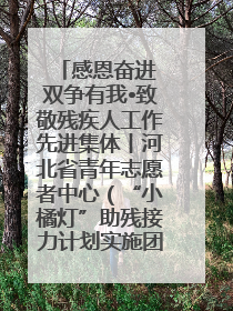 感恩奋进 双争有我•致敬残疾人工作先进集体丨河北省青年志愿者中心（“小橘灯”助残接力计划实施团队）：用温暖陪伴，守护特殊孩子成长