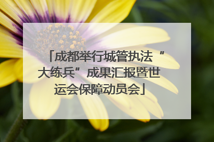成都举行城管执法“大练兵”成果汇报暨世运会保障动员会