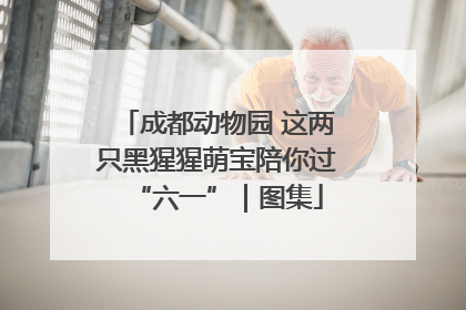 成都动物园 这两只黑猩猩萌宝陪你过“六一”｜图集