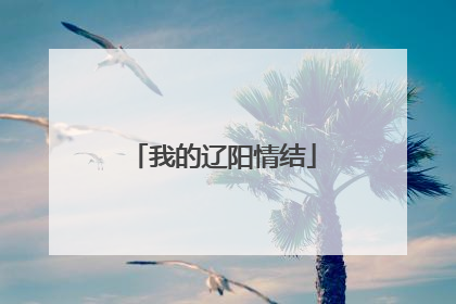 我的辽阳情结