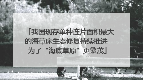 我国现存单种连片面积最大的海草床生态修复持续推进 为了“海底草原”更繁茂
