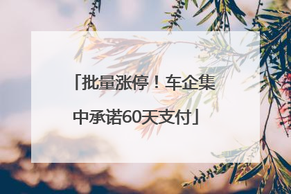 批量涨停！车企集中承诺60天支付