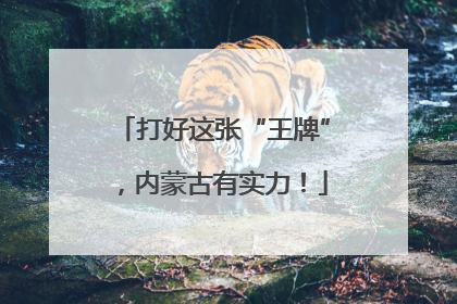 打好这张“王牌”，内蒙古有实力！