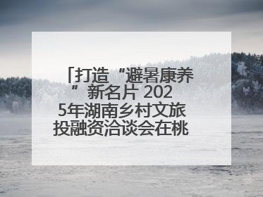 打造“避暑康养”新名片 2025年湖南乡村文旅投融资洽谈会在桃江举办