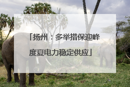 扬州：多举措保迎峰度夏电力稳定供应