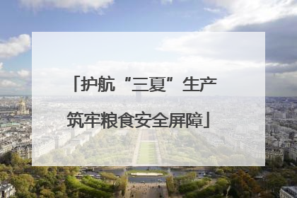 护航“三夏”生产 筑牢粮食安全屏障