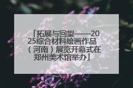 拓展与回望——2025综合材料绘画作品（河南）展览开幕式在郑州美术馆举办