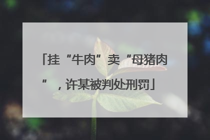 挂“牛肉”卖“母猪肉”，许某被判处刑罚
