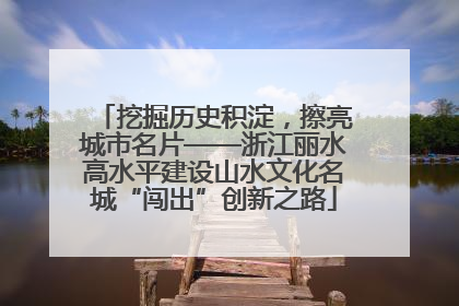 挖掘历史积淀，擦亮城市名片——浙江丽水高水平建设山水文化名城“闯出”创新之路